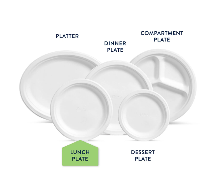 Chinet Classic Lunch Paper Plate, 8.75", 225 ct.