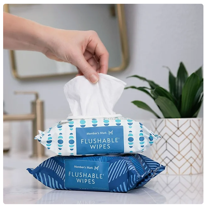 Member's Mark Flushable Wipes, Fresh Scent, 540 ct.