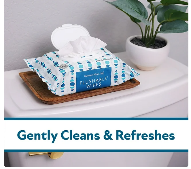 Member's Mark Flushable Wipes, Fresh Scent, 540 ct.