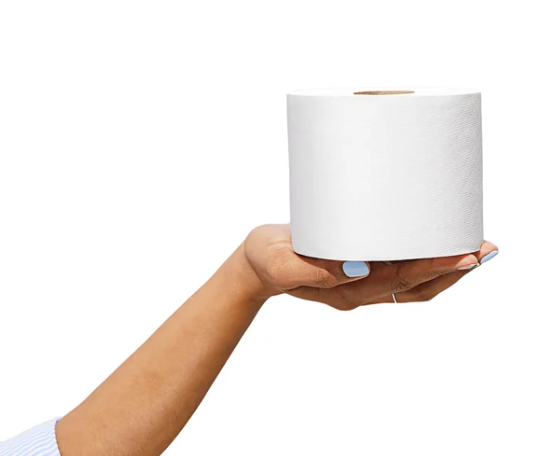 Charmin Ultra Soft Bath Tissue, 2-Ply, 213 Sheets, 30 Rolls