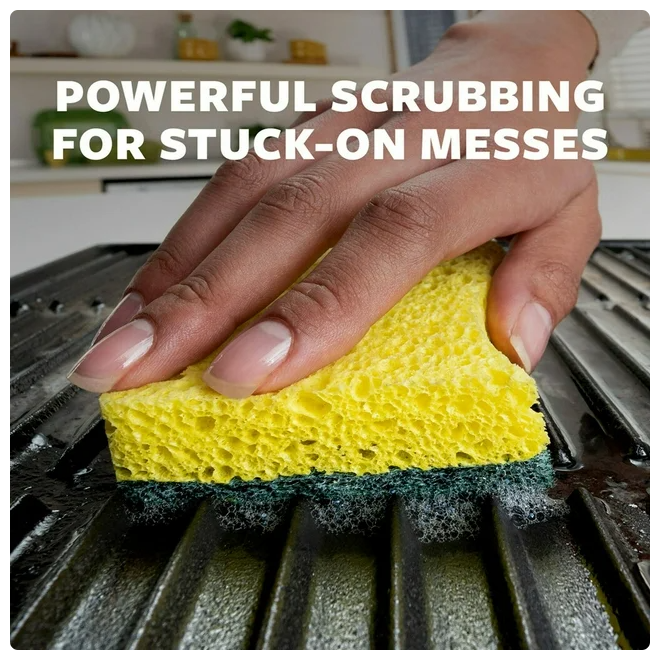 Scotch-Brite Heavy Duty Scrub Sponges, Individually Wrapped 24 ct.