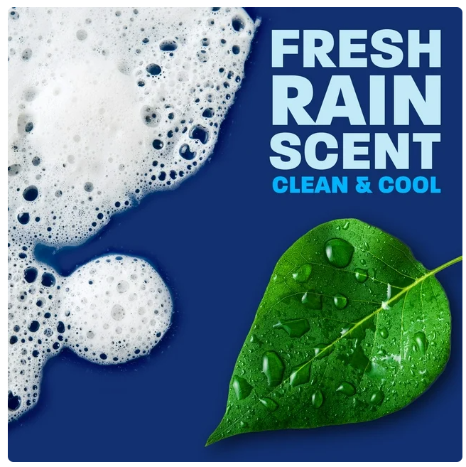 Dawn Platinum Dishwashing Liquid Dish Soap, Refreshing Rain 90 fl. oz.