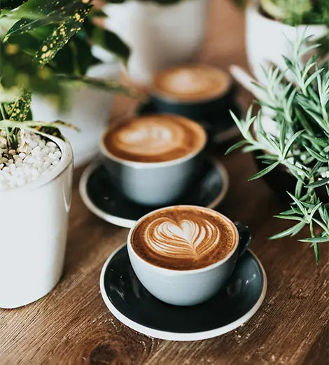 Coffee Supply