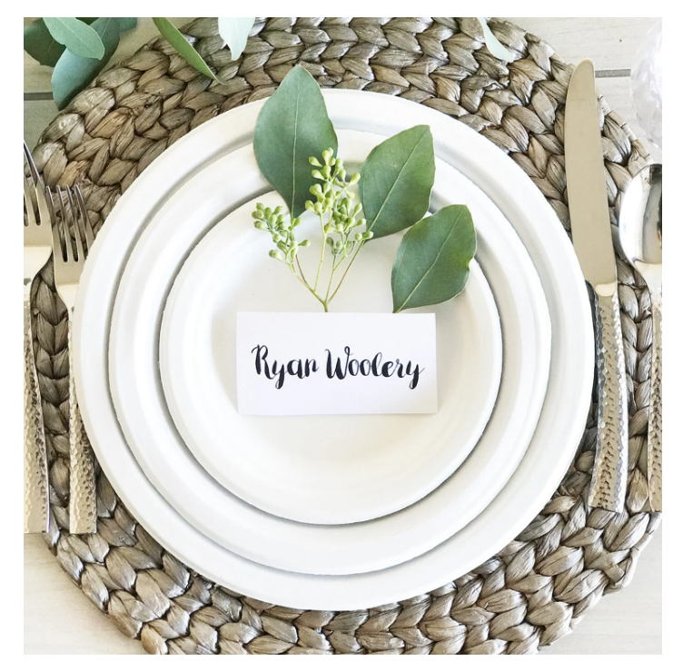 Chinet Classic Dinner Paper Plates, 10.375", 165 ct.