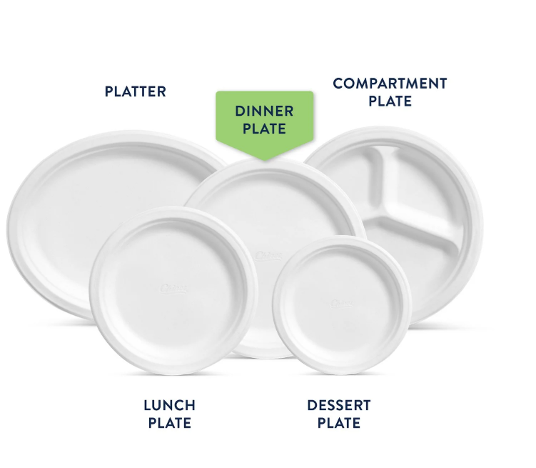 Chinet Classic Dinner Paper Plates, 10.375", 165 ct.